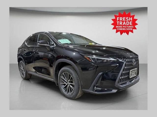 2024 Lexus NX 350 350 AWD's photo