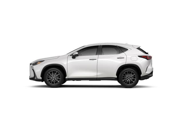 2025 Lexus NX 350h photo 2