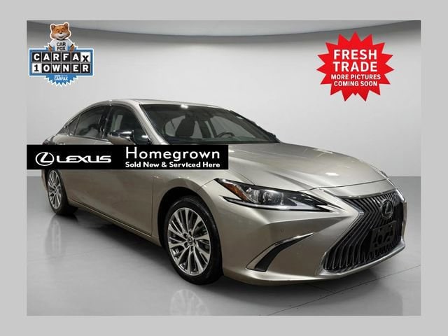 2019 Lexus ES Base's photo