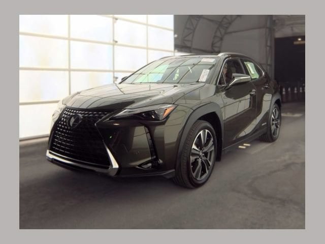 2019 Lexus UX 300h 250h LUXURY AWD's photo
