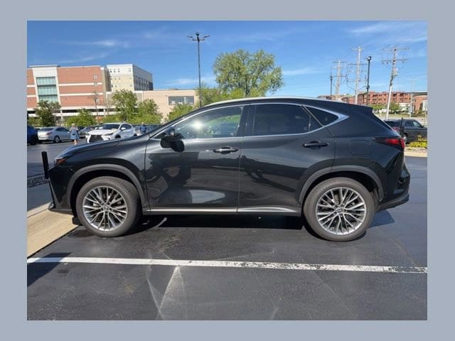 2022 Lexus NX 350h 350h Luxury AWD's photo