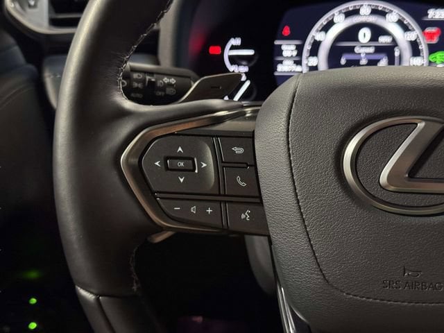2024 Lexus LX Luxury - Photo 17