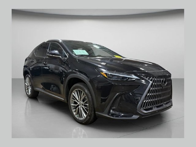 2023 Lexus NX Hybrid