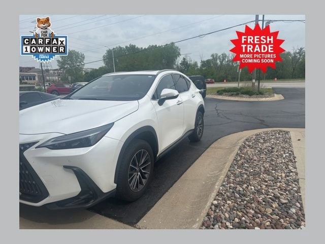 2024 Lexus NX 350h 350h Premium AWD's photo