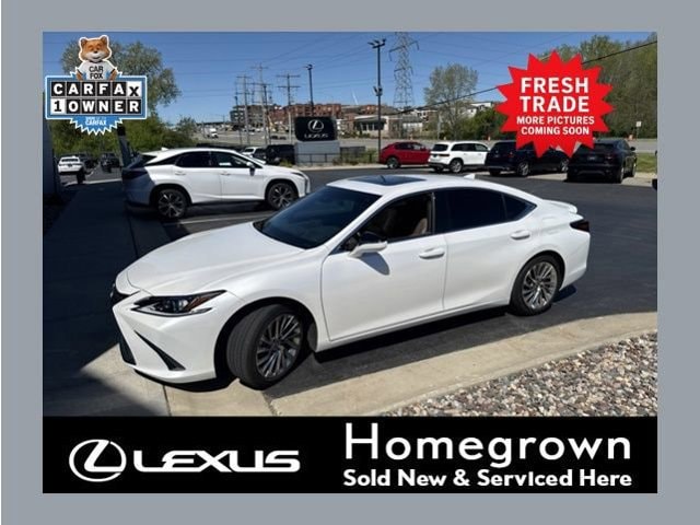 2023 Lexus ES 300h 300h Luxury's photo