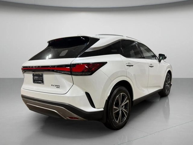 2024 Lexus RX 350 Luxury photo 3