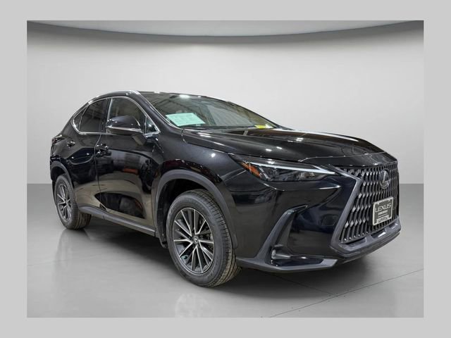 2024 Lexus NX 350 350 AWD's photo