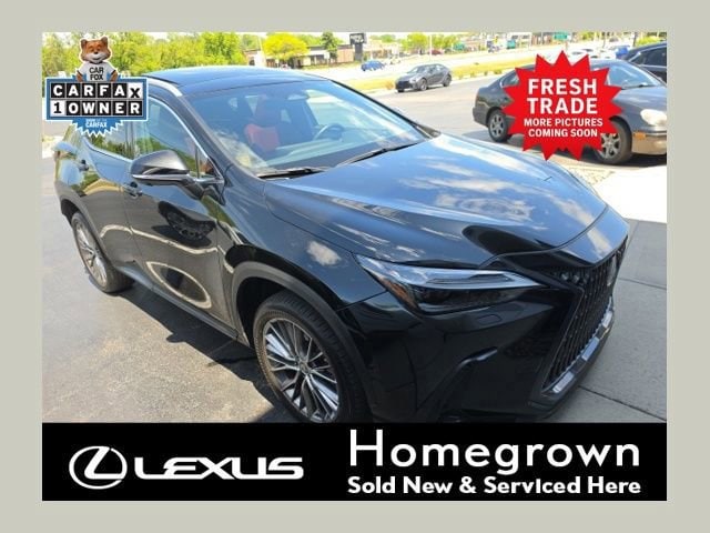 2023 Lexus NX 350h 350h Luxury AWD's photo
