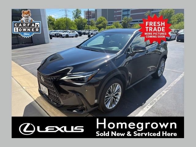 2025 Lexus NX 350h 350h Luxury AWD's photo