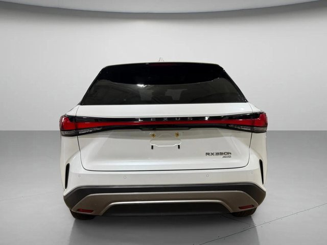 2024 Lexus RX 350h Luxury photo 4