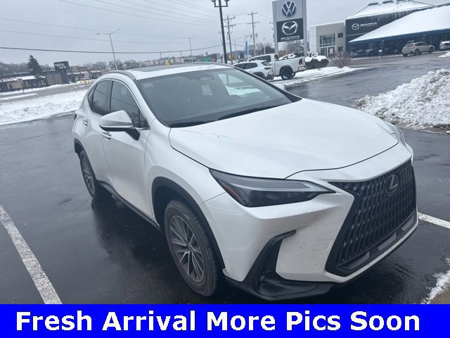 2024 Lexus NX 350's photo