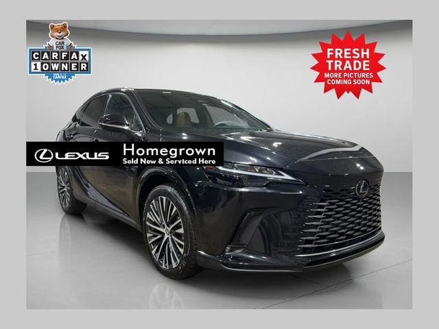 2024 Lexus RX 350's photo