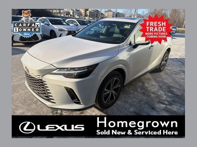 2024 Lexus RX 350's photo