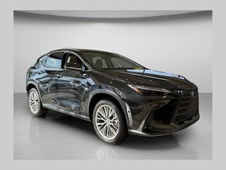 2025 LEXUS NX 350h Luxury SUV