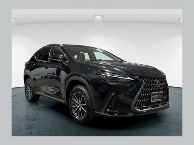 2024 LEXUS NX 350h Base SUV