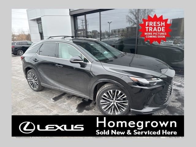 2023 Lexus RX Hybrid 350h's photo
