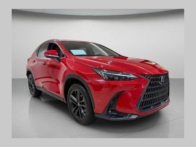 2025 Lexus NX 350 350 Premium AWD's photo