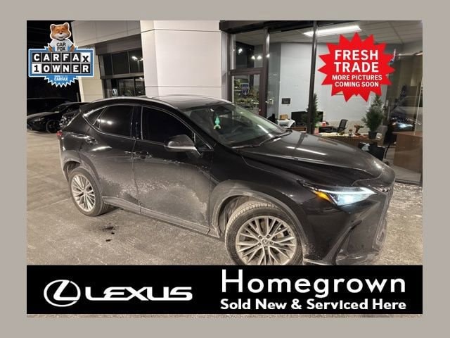 2025 Lexus NX 350's photo