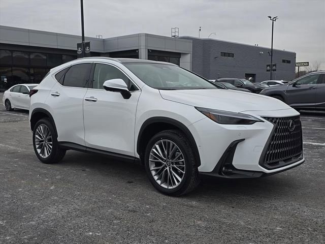 2026 Lexus NX 350's photo