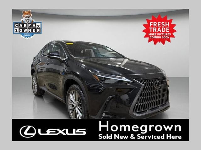 2023 Lexus NX 350h 350h Luxury AWD's photo