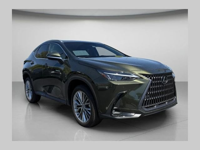2025 Lexus NX 350h 350h Premium AWD's photo