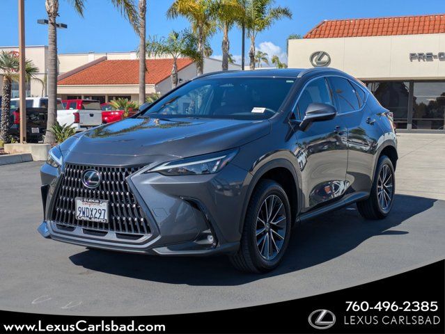 2024 Lexus NX 350 350 AWD's photo
