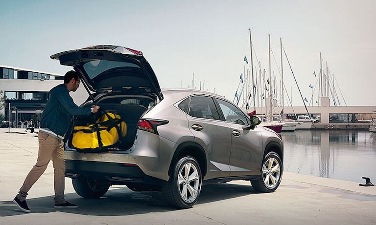 2020 NX300h Cargo Space