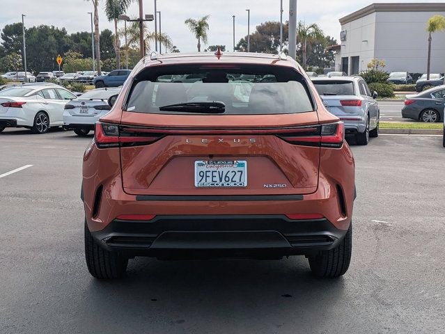 2023 Lexus NX 250 - Photo 6
