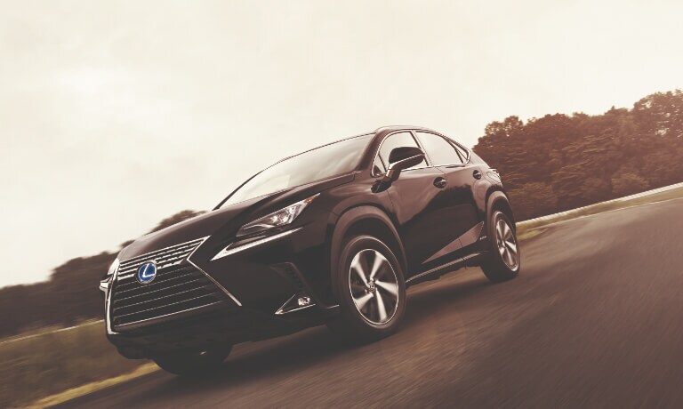 2020 Lexus NX 300h Driving on a country Road