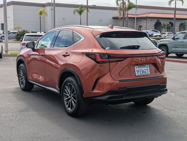 2023 Lexus NX 250 - Photo 7