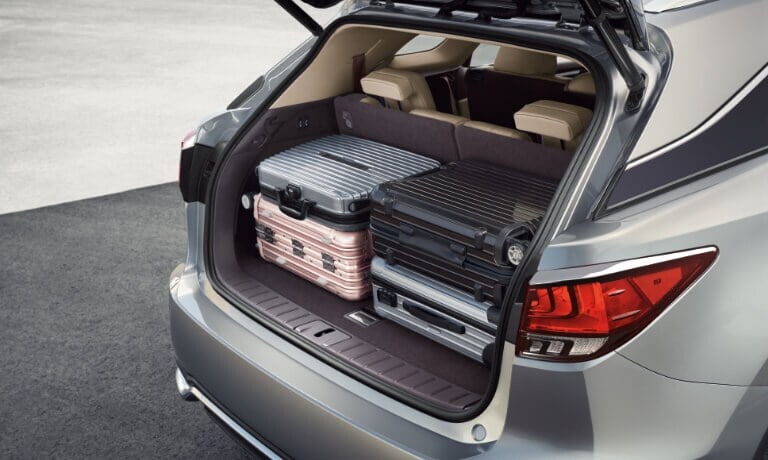 2020 Lexus RX 350 Rear View with the hatch open and loaded