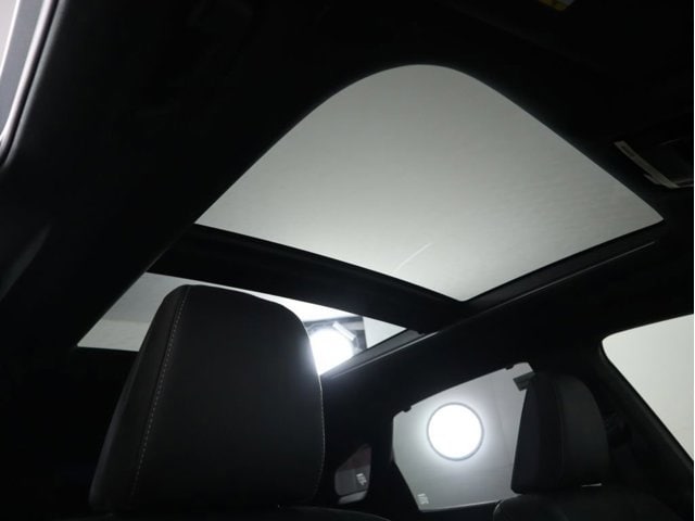 2026 Lexus RX 450h+ Luxury - Photo 19