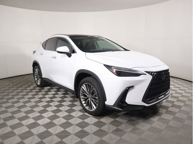 2026 Lexus NX 350h Luxury photo 2