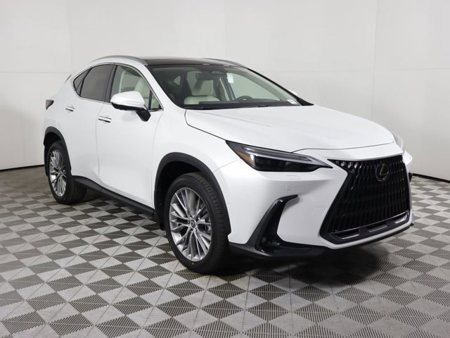 2025 Lexus NX 350h Luxury photo 2