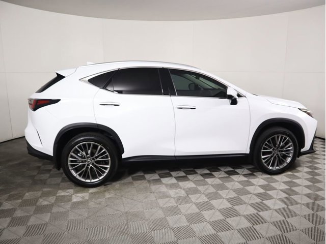 2026 Lexus NX 350h Luxury photo 3