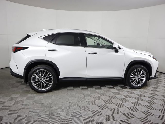 2025 Lexus NX 350h Luxury photo 3