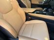 2025 LEXUS NX 250 Premium SUV
