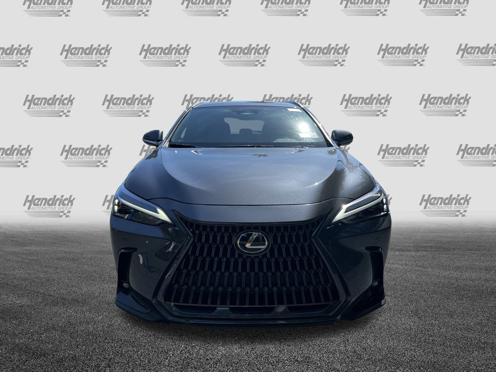 2025 Lexus NX 250 photo 3