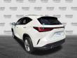 2024 LEXUS NX 350h LUXURY AWD SUV