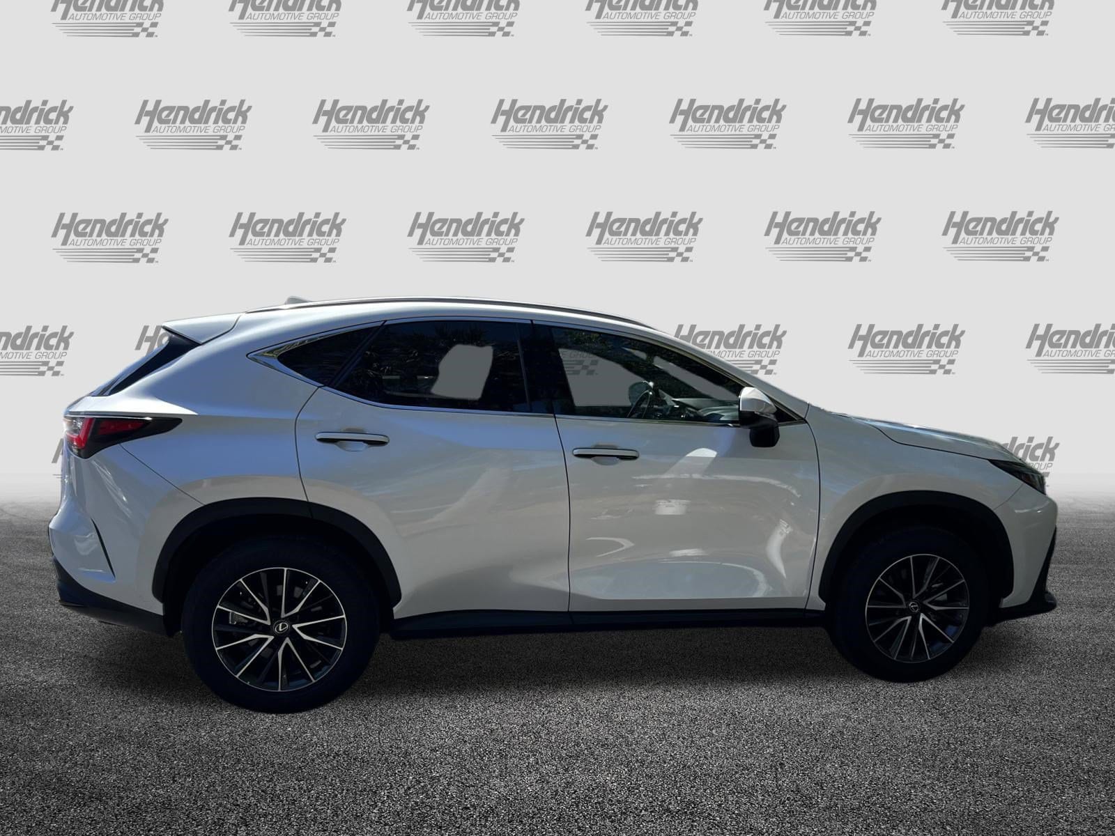 2025 LEXUS NX NX 250 Premium photo 3