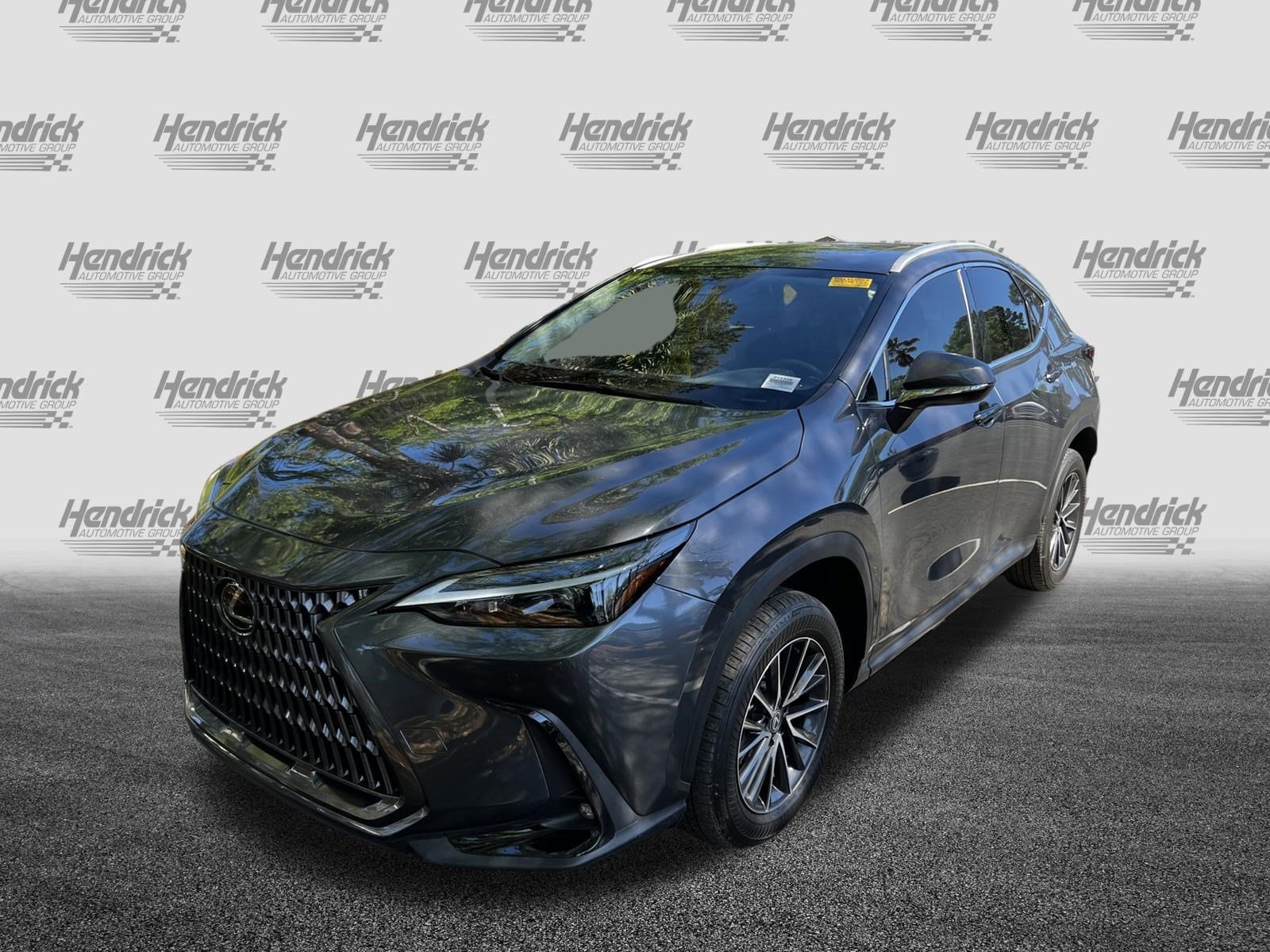 2024 LEXUS NX NX 350h Premium photo 2