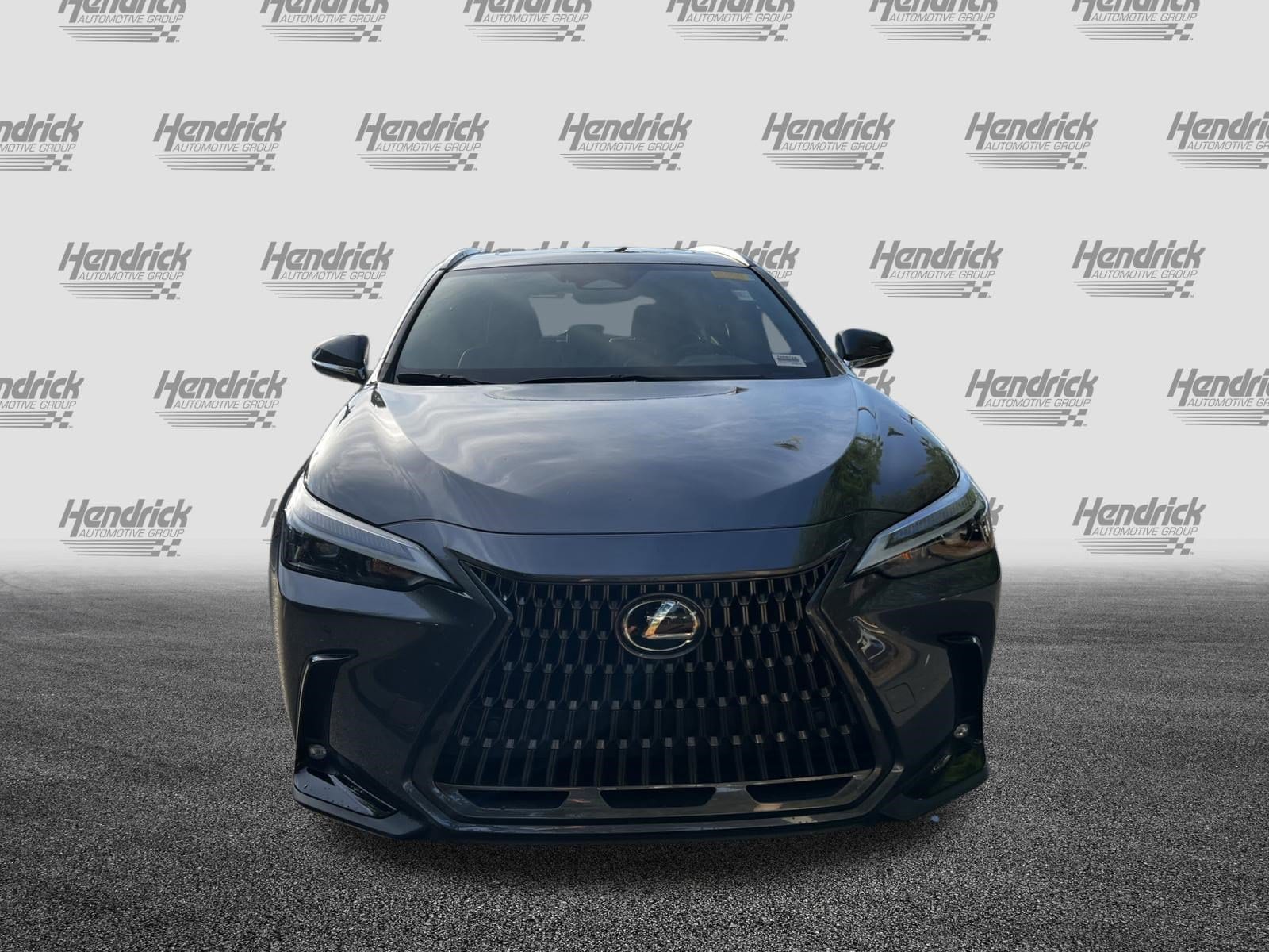 2024 LEXUS NX NX 250 Premium photo 2
