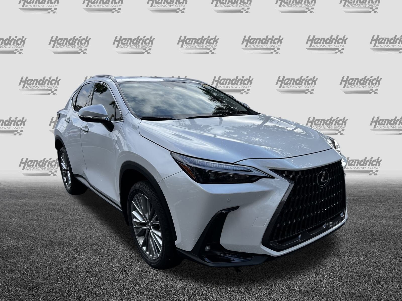 2025 Lexus NX 350h Premium photo 2
