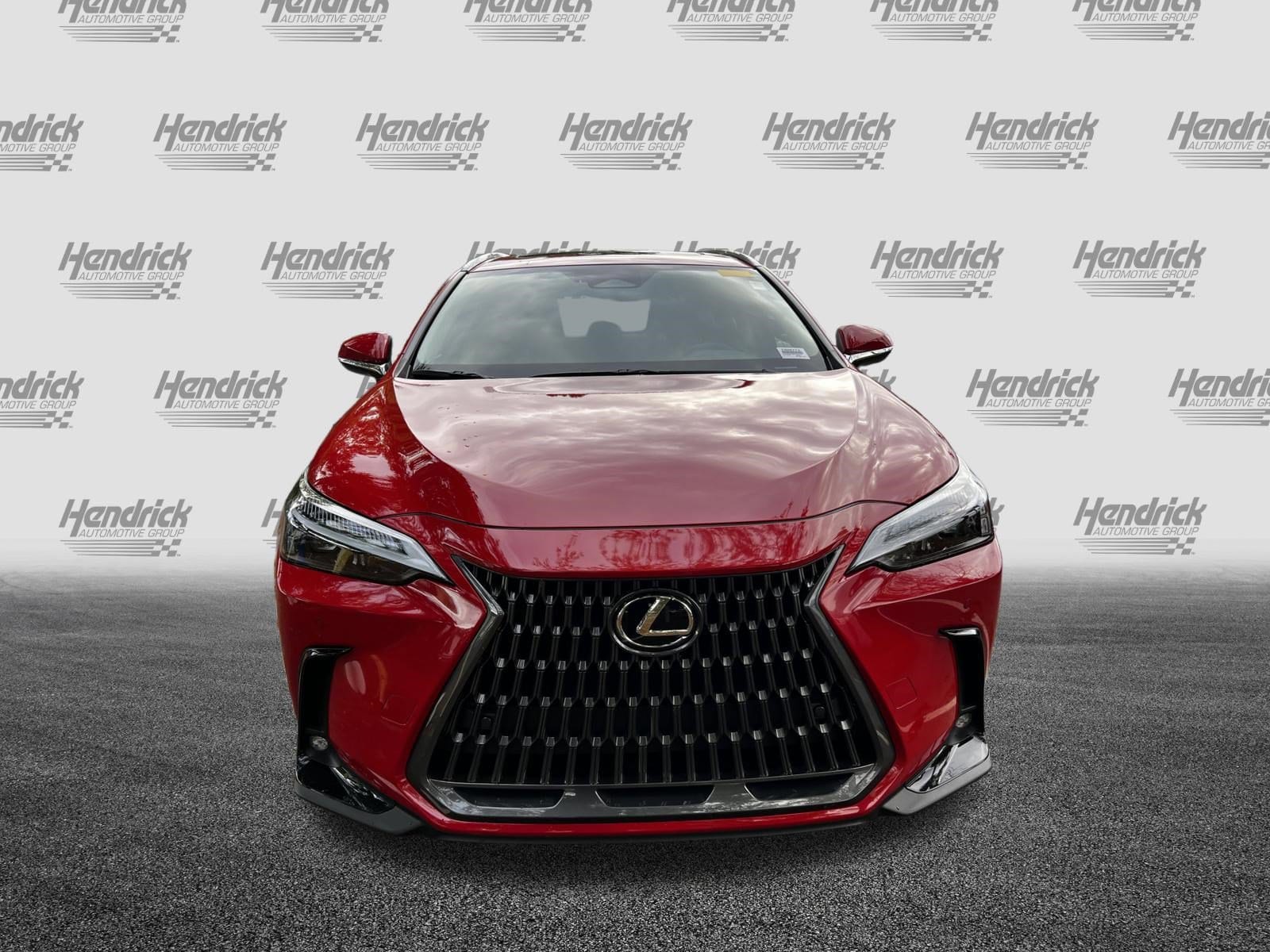 Used 2025 LEXUS NX For Sale in Charleston