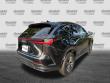 2025 LEXUS NX NX 250 Premium SUV