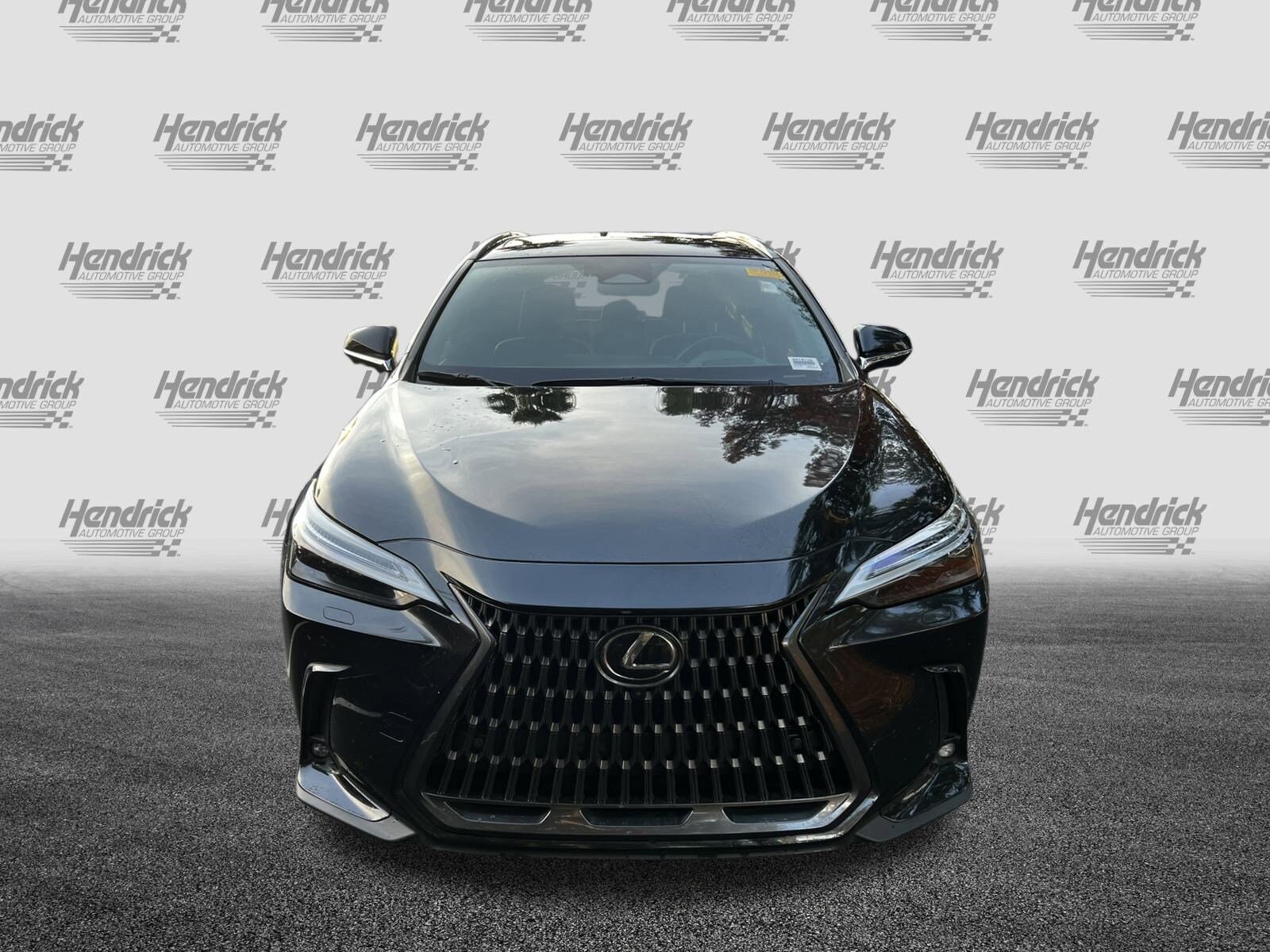 2024 Lexus NX 350h Luxury photo 3