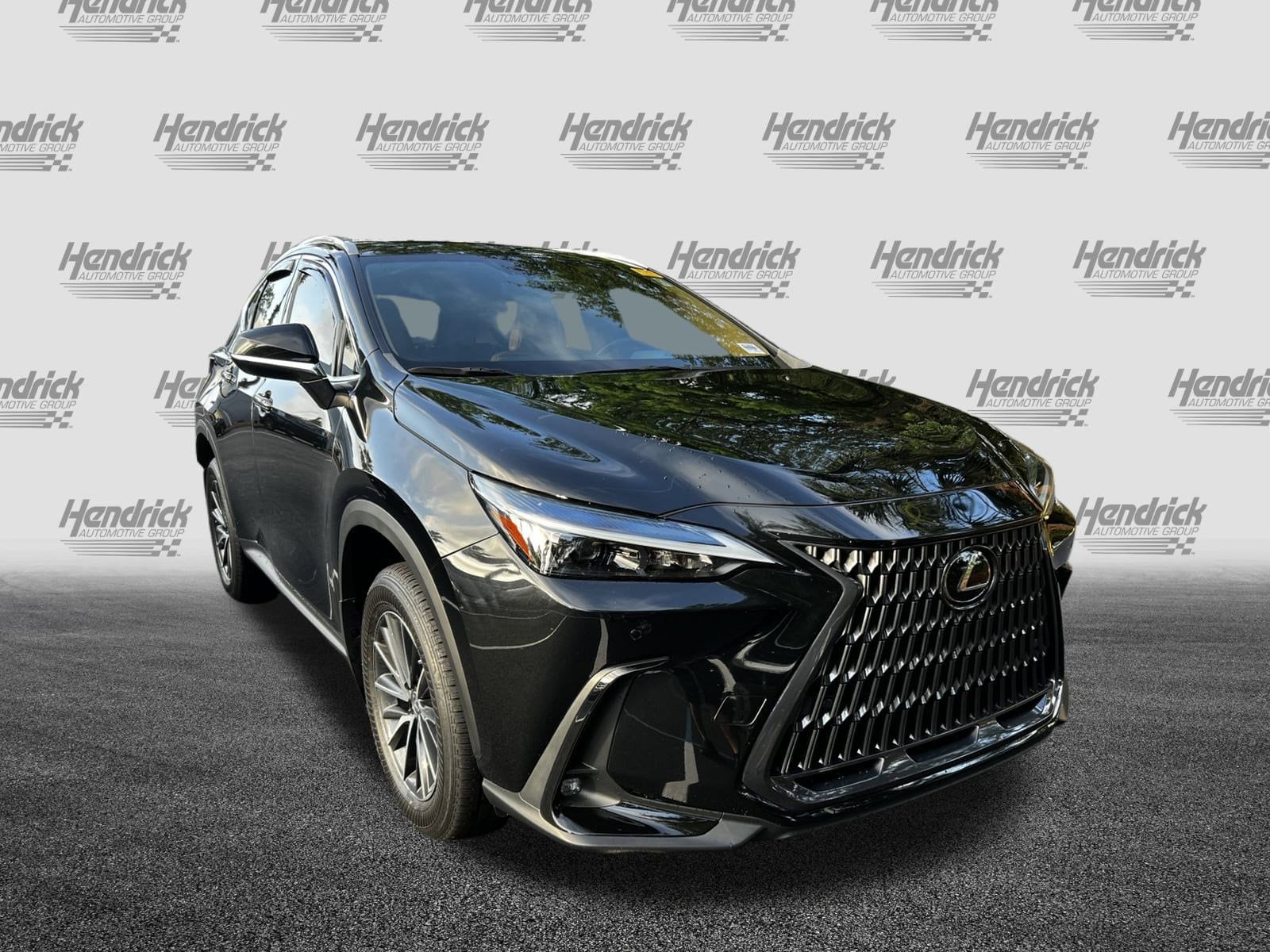Used 2024 Lexus NX 350 with VIN 2T2GGCEZ7RC042666 for sale in Charleston, SC