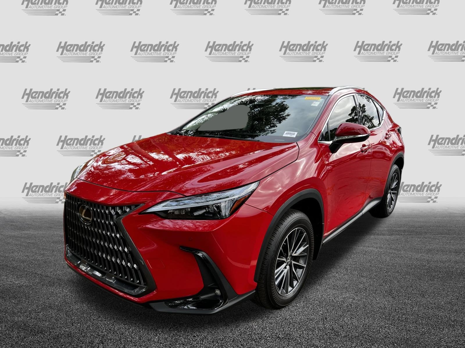 2025 LEXUS NX NX 250 Premium photo 2