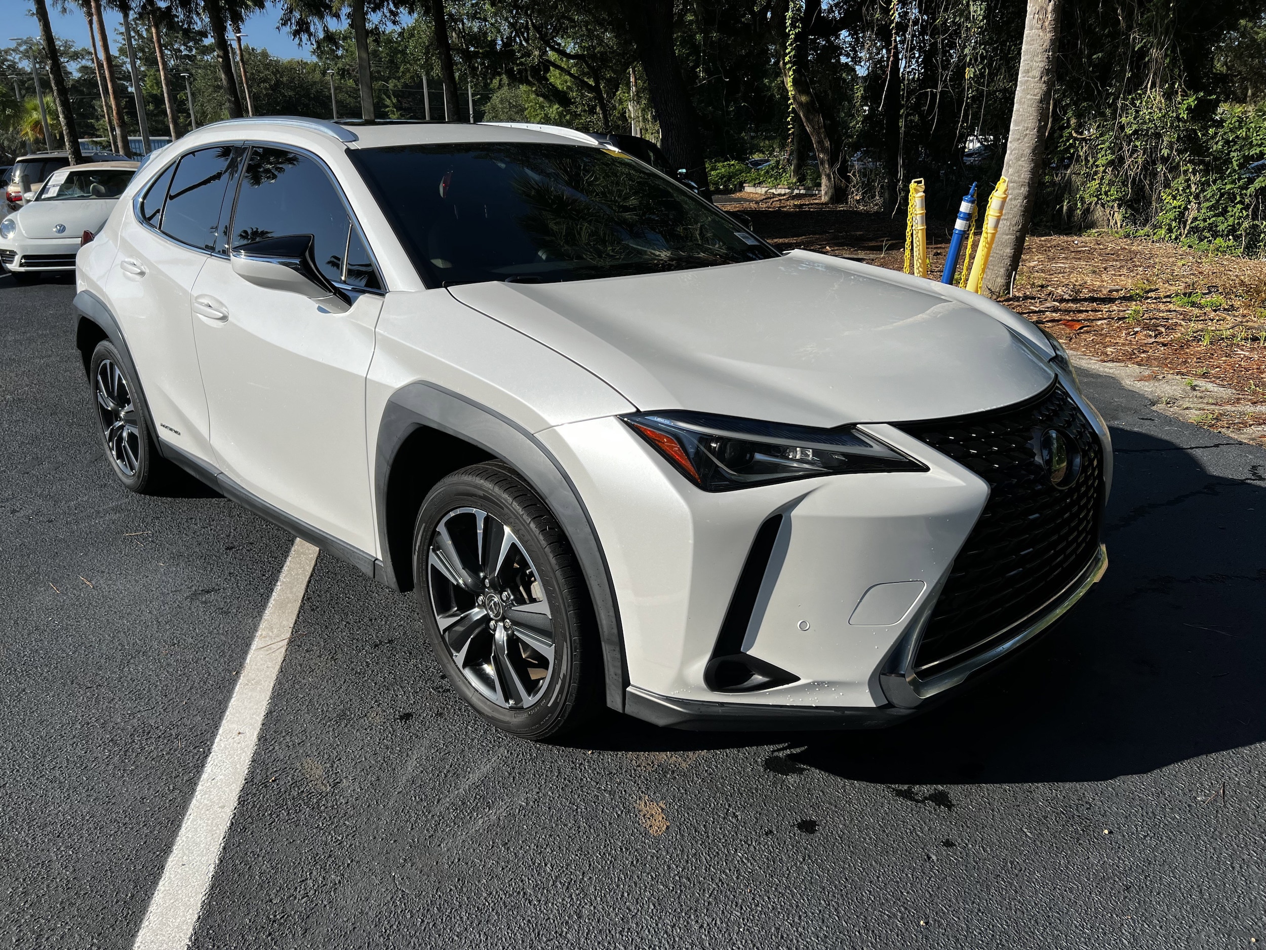 2020 Lexus UX UX 250h