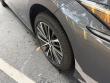2025 LEXUS ES ES 350 Sedan